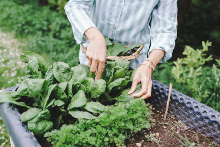 Jardin autonome